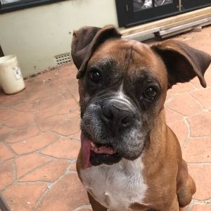 Meet your Posher, Anna